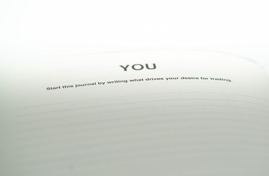 Picture of the "you" part in the trading journal